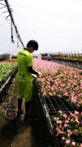 10268692_620604778017592_5816914297450301630_n