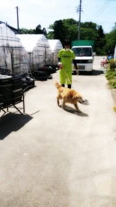 10325217_620604948017575_5991358845950458492_n