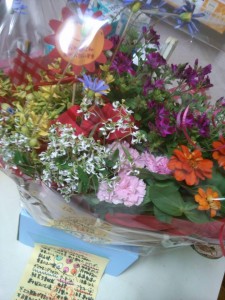 10341953_459722027507600_7667181301654744279_n