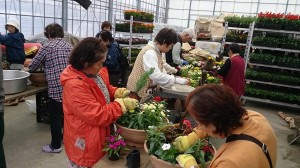 10374940_622036241207779_4575278849437077950_n