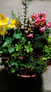 2014-05-02-19-37-16_deco