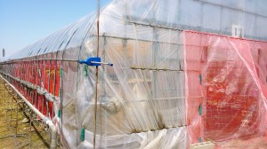 2014-05-19-22-03-14_deco