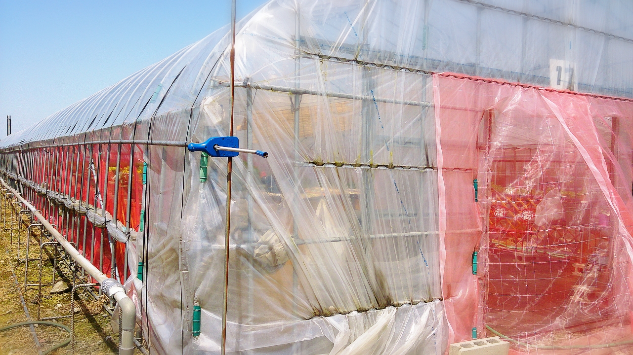 新しいアイテム☆