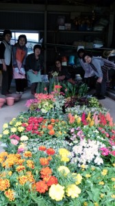 2014-05-21-14-40-06_deco