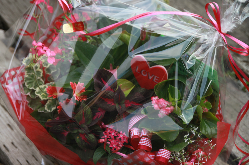 フラワーンダフルギフト