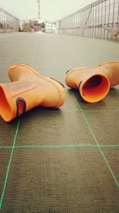 LINEcamera_share_2014-05-02-05-45-54