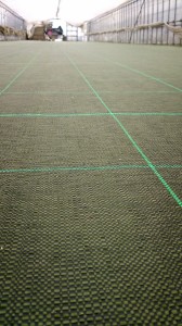 LINEcamera_share_2014-05-02-06-14-59