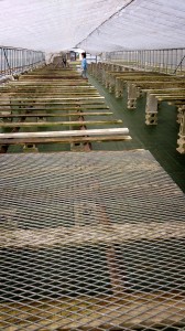 LINEcamera_share_2014-05-04-05-05-37