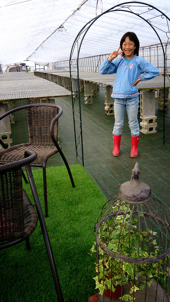 ようやく完成しました！！