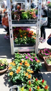 LINEcamera_share_2014-05-13-21-45-20