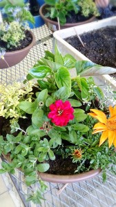 LINEcamera_share_2014-05-18-05-34-39