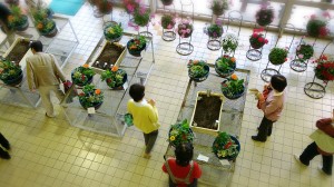 LINEcamera_share_2014-05-18-05-35-26