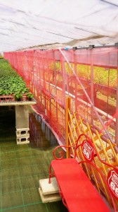 LINEcamera_share_2014-05-19-22-04-04