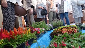 LINEcamera_share_2014-05-29-05-12-03