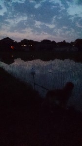 LINEcamera_share_2014-05-29-05-17-48