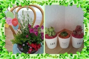 .facebook_-1030500901