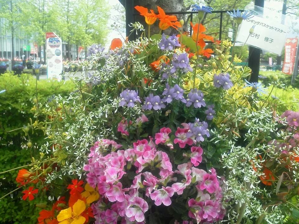 チューリップフェアのハンギング