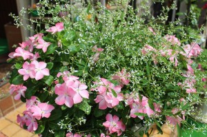 img_939159_34589820_2