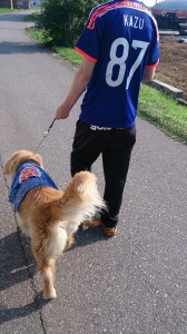 10006293_638870462857690_4640698670930526173_n