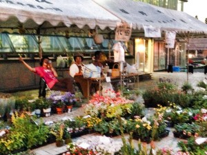 10336740_10202891508783483_5671619129040417070_n