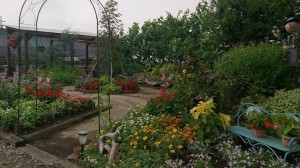 10343503_641019895976080_4579233288877293187_n