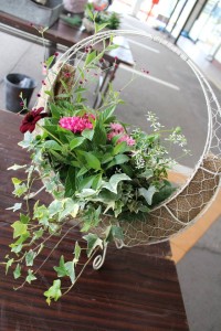 10364102_629659280445475_5763692875418024546_n