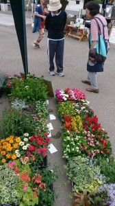 10374860_630366983708038_5506200849330277467_n