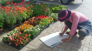 10403916_254015831449587_5662366009563587119_o