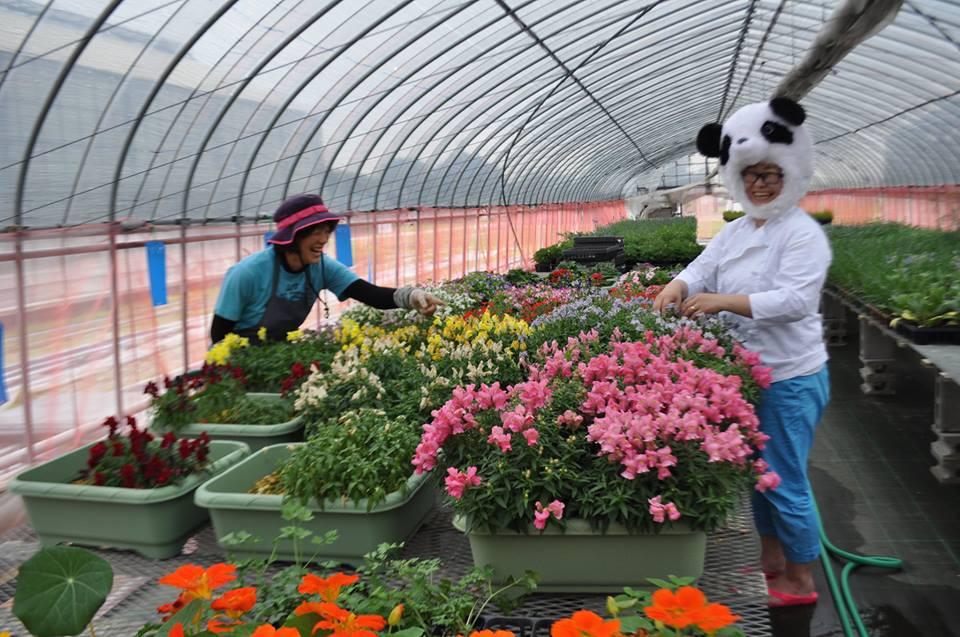 エディブルフラワーお手入れ会♪