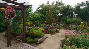 10421128_641019882642748_1187223606717680635_n