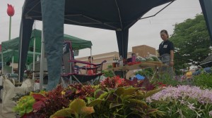 10432502_630366643708072_8445758523622942374_n