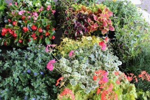 10443516_629659067112163_2825878569838546245_n