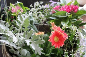 10447865_629659180445485_4145662299443241689_n