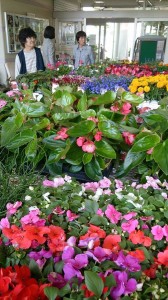 10450813_633309950080408_4360321027221800054_n