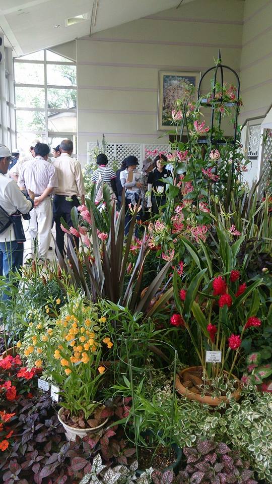 花総合センター花まつり