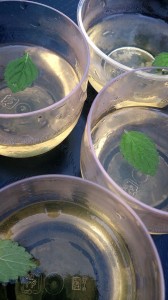 10460452_640454746032595_1560140529827290149_n