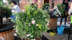 1907749_636422106435859_332862679242008474_o