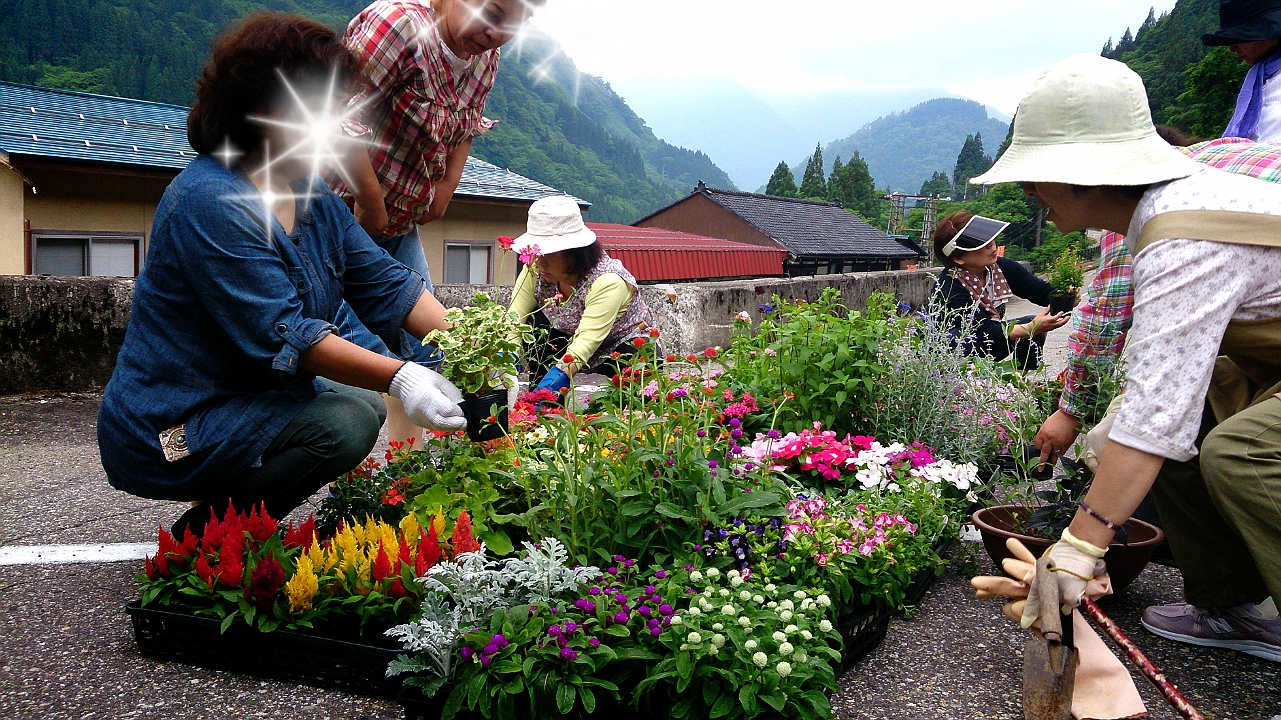 天空寄せ植え教室