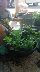 2014-06-16-06-32-47_deco