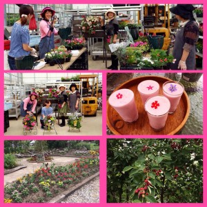 983701_646020432146093_8944554907857180622_n