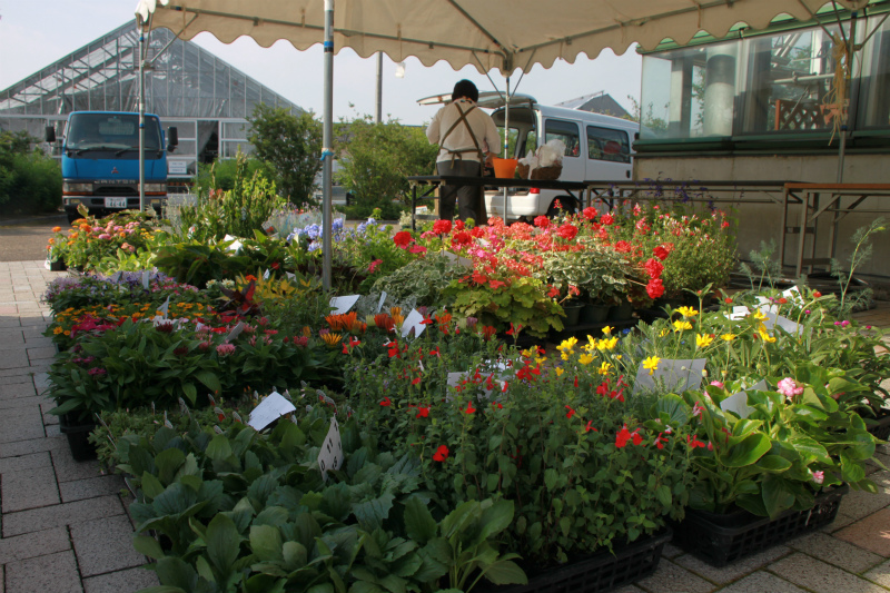 花と緑のフェスティバル２０１４