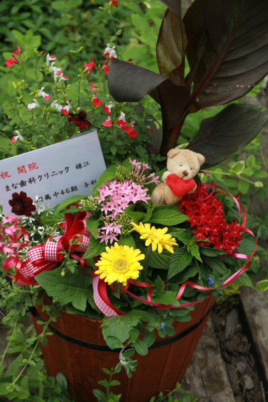 開店・開院のお祝いに☆