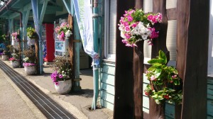 LINEcamera_share_2014-06-01-06-42-34