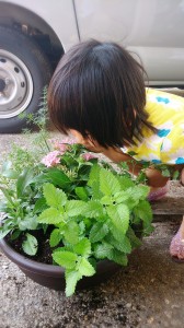 LINEcamera_share_2014-06-16-06-33-42