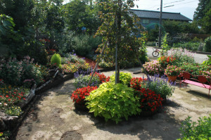 IMG_4163 - コピー