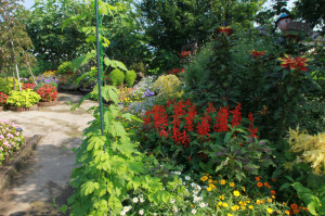 IMG_4121 - コピー