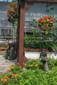 IMG_4183 - コピー