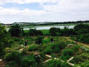 10386280_641875972557139_1679833012782346948_n