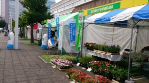 10482798_644326602312076_1638394384430150770_n