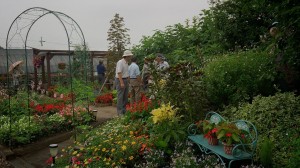 10484211_643083769103026_5100373491074524743_o